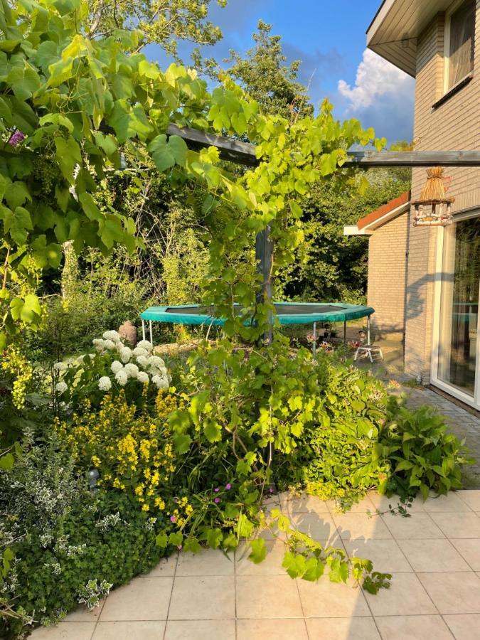 B&B Eibergen Met Prive Zwembad En Sauna 外观 照片
